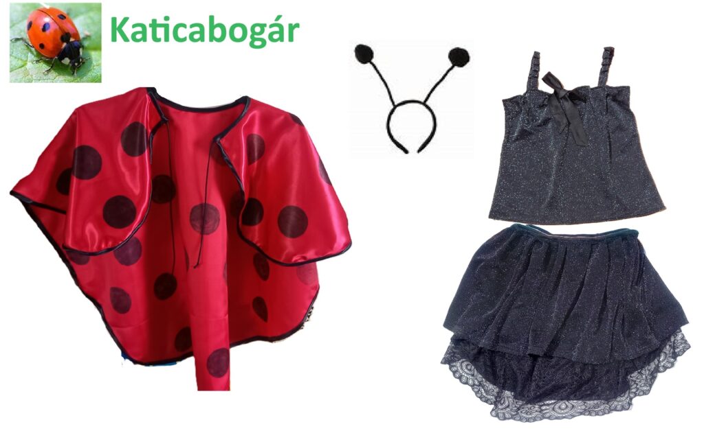 A képhez tartozó alt jellemző üres; katicabogar-1-1024x628.jpg a fájlnév